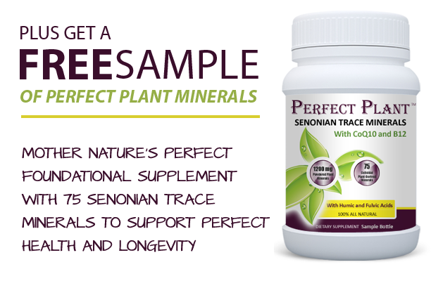 Plus Get Free Sample of Perfect Plant